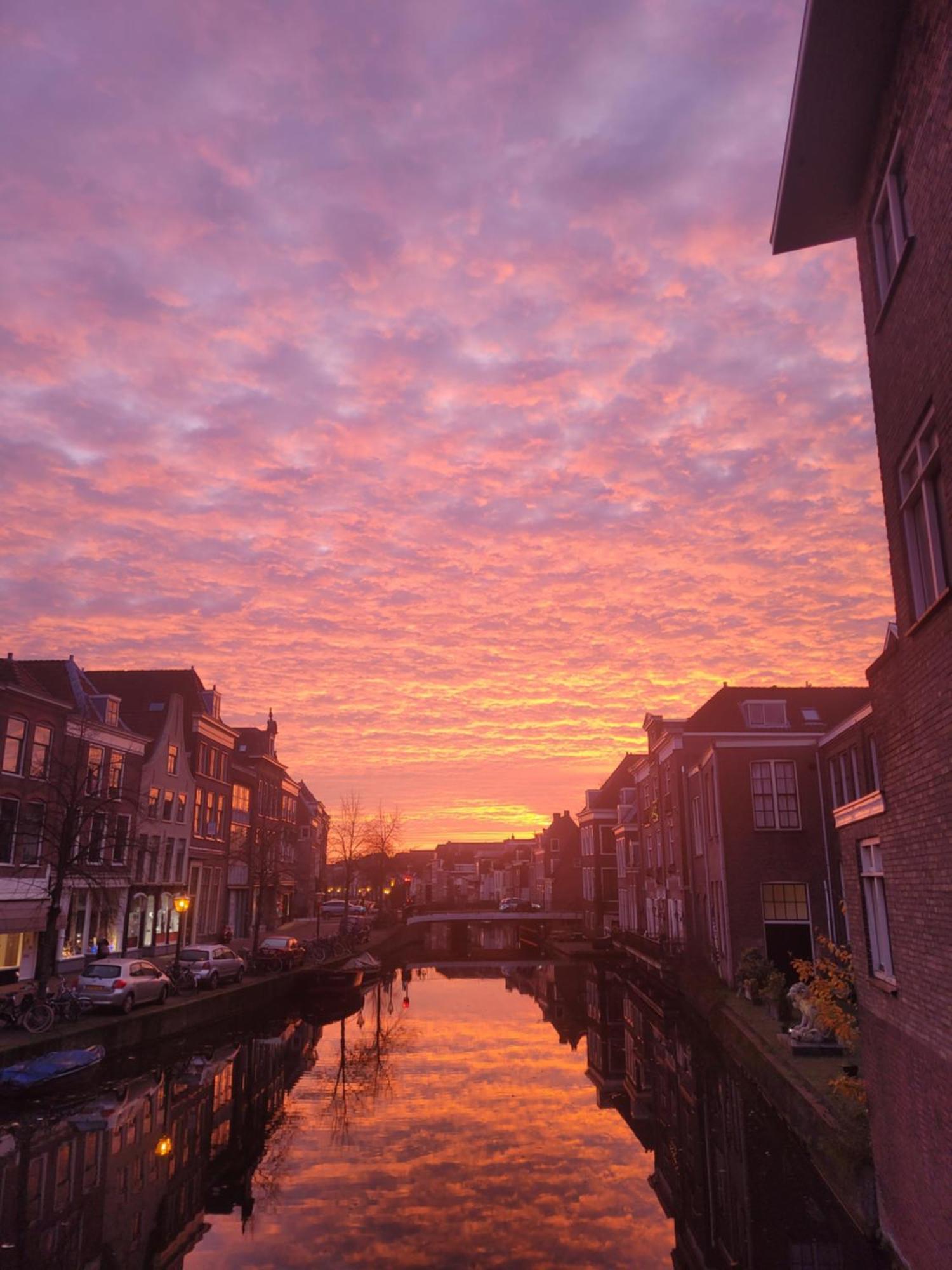 Bed and Breakfast Het Waterhof Leiden Exterior foto